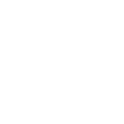Icon Immobilien mit Potenzial